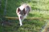 honey1year2monthsold2_small.jpg