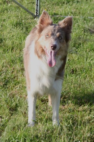 honey1year2monthsold3.jpg