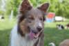 honey1year2monthsold4_small.jpg