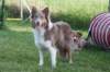 honey1year2monthsold5_small.jpg