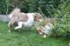 honey1year3monthsnim55monthsold_small.jpg