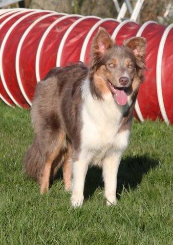 honey1yearold2.jpg