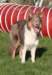 honey1yearold2_small.jpg