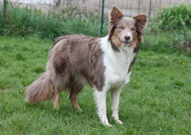 honey1yearold6.jpg