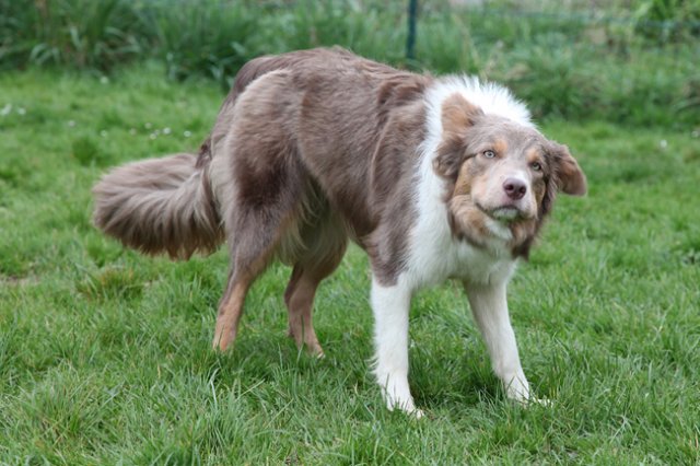 honey1yearold9.jpg