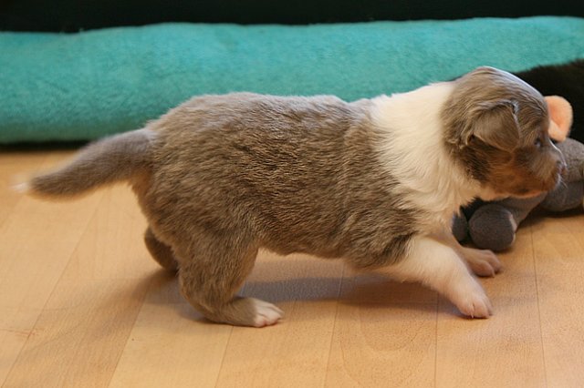 honey24daysold.jpg