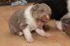 honey24daysold10_small.jpg