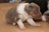honey24daysold11_small.jpg