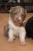 honey24daysold13_small.jpg