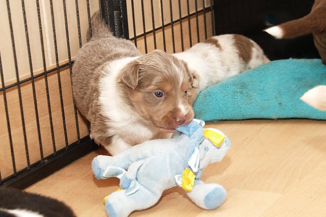 honey24daysold5.jpg