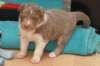 honey25daysold3_small.jpg