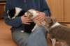 honey35daysold_small.jpg