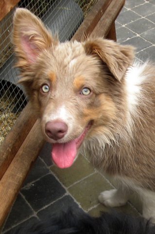 honey35monthsold2.jpg