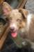 honey35monthsold2_small.jpg