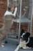 honey35monthsoldbirdwatchingcharlie_small.jpg
