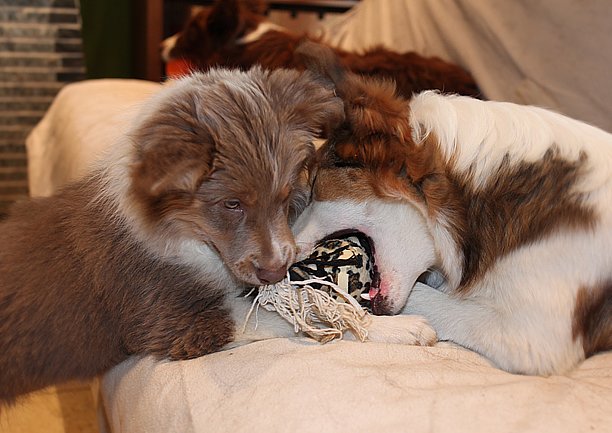 honey3monthstia7monthsold3.jpg
