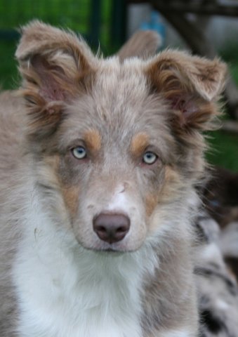 honey4monthsold.jpg
