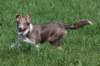 honey55monthsold10_small.jpg