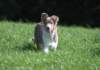 honey55monthsold4_small.jpg