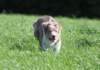 honey55monthsold5_small.jpg