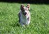 honey55monthsold6_small.jpg