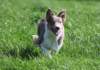 honey55monthsold7_small.jpg