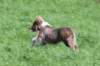 honey55monthsold_small.jpg
