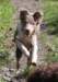honey5monthsold22_small.jpg