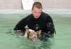 honey8monthsoldat1stsessionatwestpool3_small.jpg