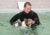 honey8monthsoldat1stsessionatwestpool5_small.jpg