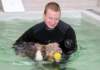 honey8monthsoldat1stsessionatwestpool6_small.jpg