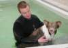 honey8monthsoldat1stsessionatwestpool_small.jpg