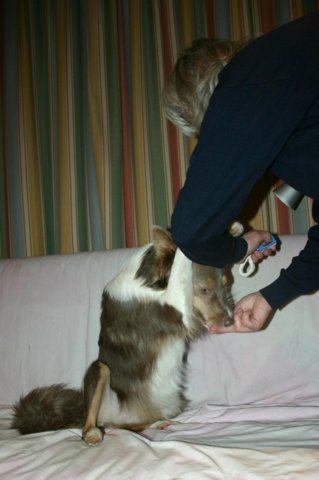 honey9monthsold14.jpg
