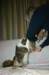 honey9monthsold14_small.jpg