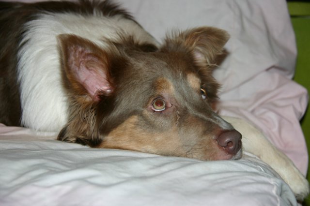honey9monthsold17.jpg