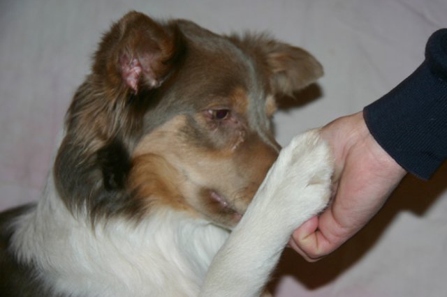 honey9monthsold18.jpg