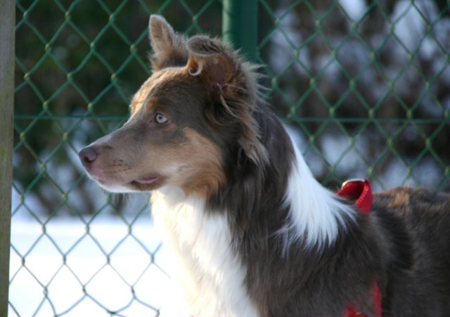 honey9monthsold19.jpg