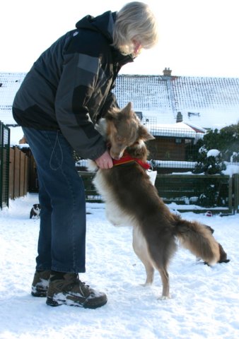 honey9monthsold20.jpg