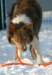 honey9monthsold22_small.jpg