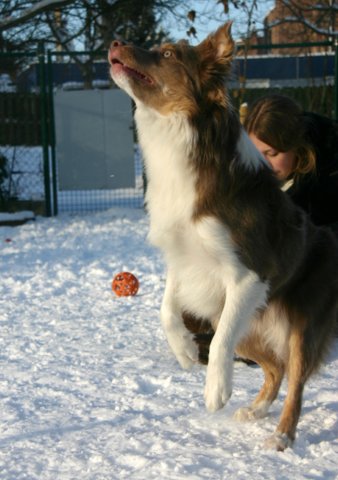 honey9monthsold27.jpg