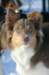 honey9monthsold33_small.jpg
