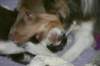 honey9monthsold39_small.jpg
