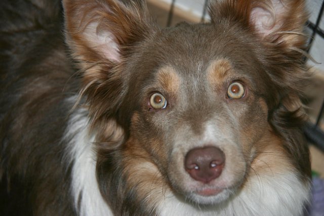 honey9monthsold40.jpg