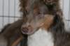 honey9monthsold42_small.jpg