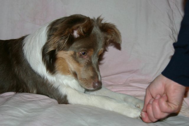 honey9monthsold5.jpg