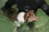 honey9monthsold53_small.jpg