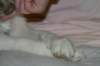 honey9monthsold6_small.jpg