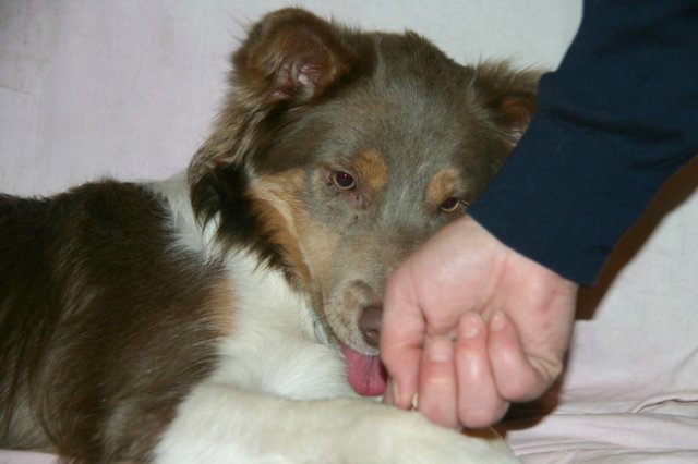 honey9monthsold8.jpg