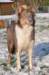 i03honey9monthsold_small.jpg