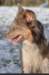 i04honey9monthsold_small.jpg